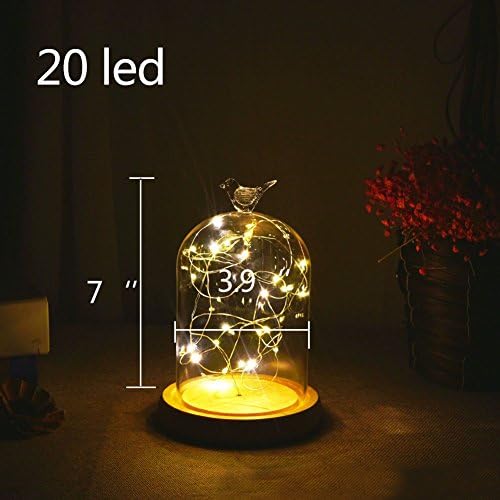 Agywell Glass Dome Lamp Bell Jar Display Dome wooden Base Battery Operated LED Fairy Light ideal for Decoration Anywhere. (20LED)
