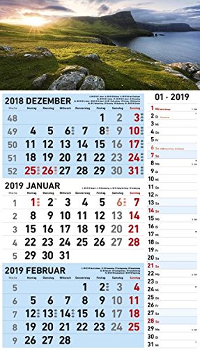 Preisvergleich Produktbild 3-Monats Kombiplaner 2019 - Wandkalender, Kombikalender, Terminplaner - 34 x 59 cm