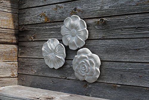 Wandbilder Blüten,3er Set mit verschiedenen Blüten,grau,je 20cm - 2