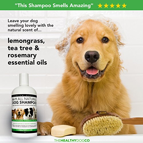 6-in-1-All-Natural-Dog-Shampoo-Lemongrass-Rosemary-Tea-Tree-500ml-The-Best-Wash-for-Healthy-Dogs-Cleans-Conditions-Detangles-Moisturises-Relieves-Itchiness-Eliminates-Germs-Smells