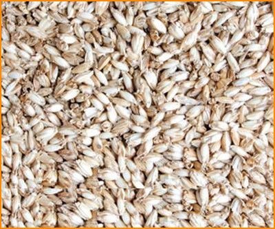 Preisvergleich Produktbild Bio-Dinkelspreu / Dinkelspelzen 5 kg