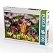 Produktbild Tulipa Acuminata 1000 Teile Puzzle quer