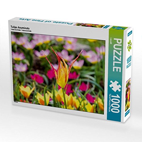 Preisvergleich Produktbild Tulipa Acuminata 1000 Teile Puzzle quer