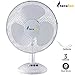 Produktbild Bakaji - Tischventilator, schwenkbar, Stange 40 cm, 3 Geschwindigkeiten, Horizontale Schwenkung, Vertikal einstellbare Neigung, Wabenschutzgrill , Modell FT40-716 TeraFan
