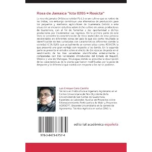 Rosa de Jamaica "Icta 0205 = Rosicta": Investigación y Desarrollo de una nueva variedad