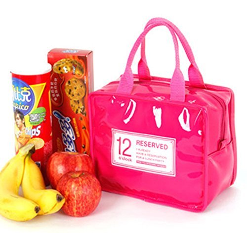 iSuperb Wasserdicht Kühltasche Mtagessen Tsche Isoliert Lunch Taschen Lunch Bag Cooler Bag für Arbeit und Schule 22x13x18.5cm (Rose)