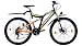 Produktbild LEADER All-Terrain-Bike Chicago, 26 Zoll, 21 Gang, Scheibenbremse 66,04 cm (26 Zoll)