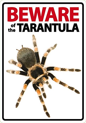 Preisvergleich Produktbild Beware of the Tarantula - Flexi Portrait