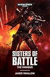 Image de Warhammer 40k: Sisters of Battle Omnibus