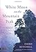 White Moon on the Mountain Peak (Daoist Nei Gong) by 