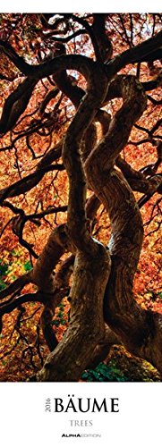 Bäume 2016 - Wald - Streifenkalender XXL (25 x 70) - Landschaftskalender - Naturkalender