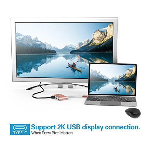 LENTION 4-in1-USB-C-Multiport-Hub / USB-C-Dock mit Typ C, USB 3.0, USB 2.0 Ports für New Macbook 12″ / ChromeBook, Pro Retina 13 15, Surface, Dell XPS u.a., Multiport-Adapter zum Aufladen und Verbinden in den Farben Rose Gold - 4