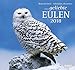 Geliebte Eulen 2018 - DuMont Wandkalender - mit den wichtigsten Feiertagen - Format 38,0 x 35,5 cm by DUMONT Kalenderverlag, verschiedenen Fotografen