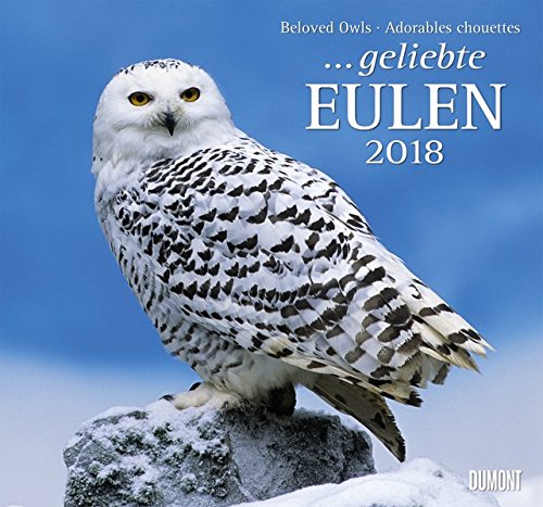 Geliebte Eulen 2018 - DuMont Wandkalender - mit den wichtigsten Feiertagen - Format 38,0 x 35,5 cm