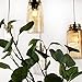 Produktbild Pendelleuchte Jar Deckenleuchte Deckenlampe Vintage Ball Lampe Einmachglas Weckglas Mason Hängeleuchte (Amber (Country))
