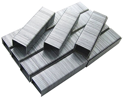 Am-Tech 1000 Stück 8 mm Staples, B3772