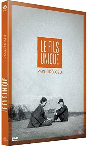 couverture de : Le fils unique
