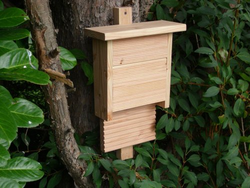 Fledermauskasten aus Douglasienholz Größe L, Fledermaushöhle - 3