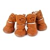 Scarpe per cani Chihuahua.