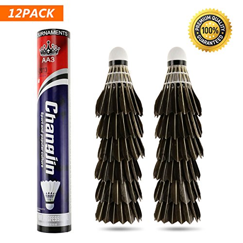 TD® Volants Badminton Lumineux Led Plumes Plastique Fluo Pour La Nuit