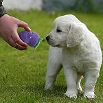 UEETEK-5-pezzi-giocattolo-di-peluche-del-cane-da-compagnia-di-animale-domestico-giocattoli-interattivi-del-cane-giocattoli-di-masticazione-giocattolo-di-mordente-con-il-suono-per-lesercitazione-di-add