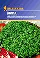 Sämereien Kresse Krause PG B