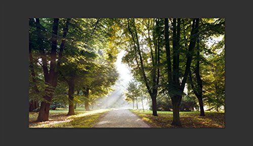 Vlies Fototapete 500×280 cm – Größe Format XXL- 3 Farben zur Auswahl – Top Tapete 5m Wandbilder Wandbild Bild Fototapeten Tapeten Wandtapete Park Natur Landschaft Baum c-A-0102-x-b - 6