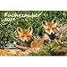 Fuchszauber · DIN A4 · Premium Kalender 2019 · Fuchs · Wald · Natur · Tier · Wildnis · Edition Seelenzauber by