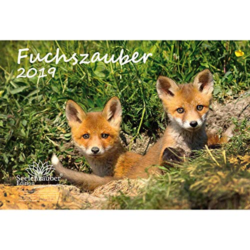 Fuchszauber · DIN A4 · Premium Kalender 2019 · Fuchs · Wald · Natur · Tier · Wildnis · Edition Seelenzauber