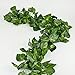 Produktbild Rurality 8 ft Künstliche Seide Greenery Kette Ivy Hochzeit Girlande, 2 Stück, Seide, Epipremnum Aureum, 16 feet