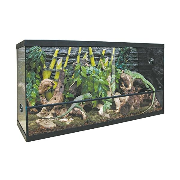 Repti-Selva TRS100 - Terrario in vetro