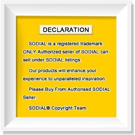 SODIAL(R) 13 „13.3“ schwarze reversible Neopren Laptophuelse Tasche fuer Apple Macbook Pro / Air - 3