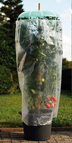 Preisvergleich Produktbild Tomatenhut / Pflanzhilfe-Erweiterungs-Set TOMATENHUT ERWEI TERUNGS-SET 36300
