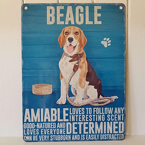 BEAGLE METAL AMIABLE DETERMINED FOLLOWS SCENT GOOD NATURED SIGN HOUND DOG PLAQUE