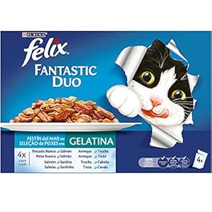 PURINA Felix Fantastic Duo Delice – Comida para Gatos en Sobres, Variedad de Pescados, 10 x (4 x 100 g)