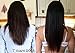 HAIR JAZZ shampoo and conditioner hair growth accelerator (2x 250ml). Anti-fall regrowth balm mask Lotion