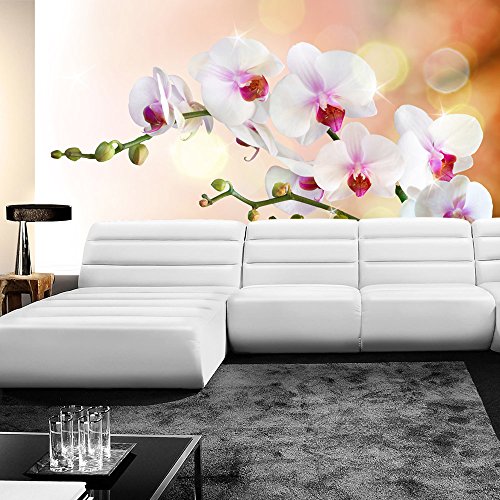 Vlies Fototapete 200×140 cm – Top ! PREMIUM PLUS Foto Tapete ! Wandbilder XXL Wandbild Bild Fototapeten Tapeten Wandtapete Wanddeko Wand Blumen Orchidee Natur – no. 200 - 9
