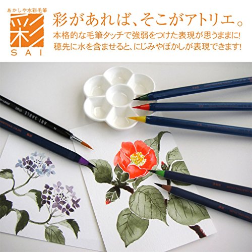 AKASHIYA Fude Pinselstift shin-mouhitsu Tinte (sa-300) 20 Color Set - 3