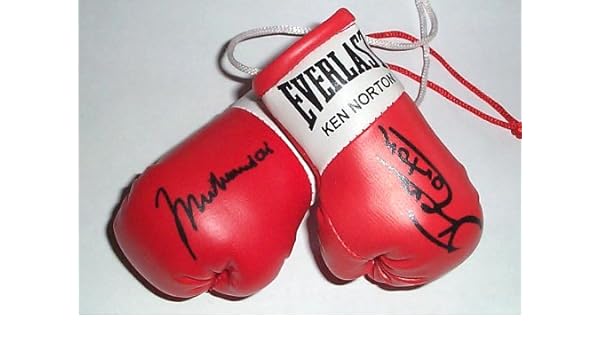 everlast mini boxing gloves