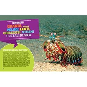 Animali da record. Le specie più grandi, più disgustose, più veloci, più pericolose, più puzzolenti e più piccole del…