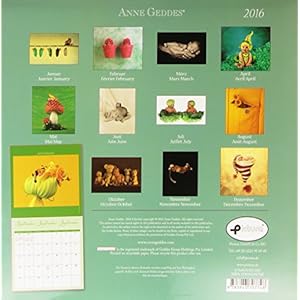 Under the sea 2016 Broschürenkalender