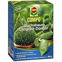 Compo Buchsbaum Langzeit Dünger | 6 Mo. Langzeitwirkung | Spezialdünger für alle Buchsbaumarten und Hecke