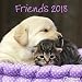 Friends 2018 - Tierkalender, Broschürenkalender, Wandkalender - 30 x 30 cm by