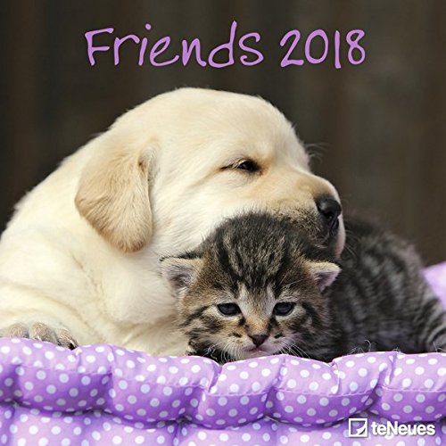 Friends 2018 - Tierkalender, Broschürenkalender, Wandkalender - 30 x 30 cm