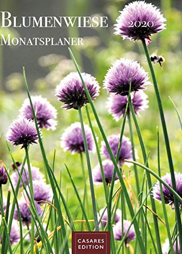 Preisvergleich Produktbild Blumenwiese Monatsplaner 2020 30x42cm