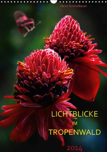 LICHTBLICKE IM TROPENWALD (Wandkalender 2014 DIN A3 hoch): Vereinzelte Lichtstrahlen im Regenwald bringen Blumen zum Leuchten.. (Monatskalender, 14 Seiten)
