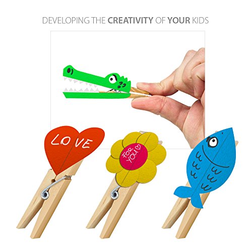 Wäscheklammern, 50 Stück – 20682 - 5