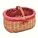 Produktbild 10-101-17 GalaDis Kleiner Einkaufskorb aus Weide geflochten mit Innenfutter (rot), Weidenkorb Geschenkkorb Präsentkorb (45 x 32 x 25)