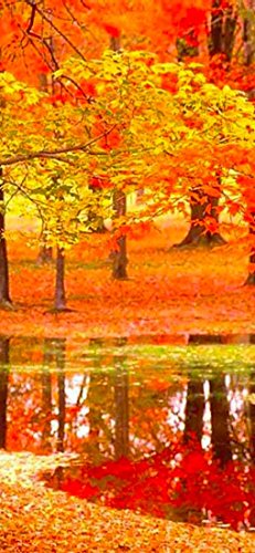 Preisvergleich Produktbild PeelitStickit VeUKWinSti2629 Design: Naturlandschaft, Aufkleber, ID-3263