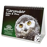 Tierzauber Eulen und Uhus · DIN A5 · Premium Kalender/Tischkalender 2019 · Vögel · Vogel · Fliegen · Wald · Natur · Tiere · Edition Seelenzauber by 